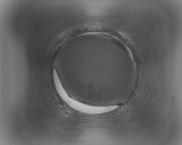 X0000071781445200607150042