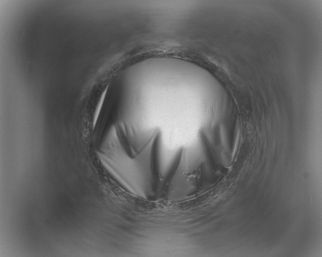 X0000071781447200607150042