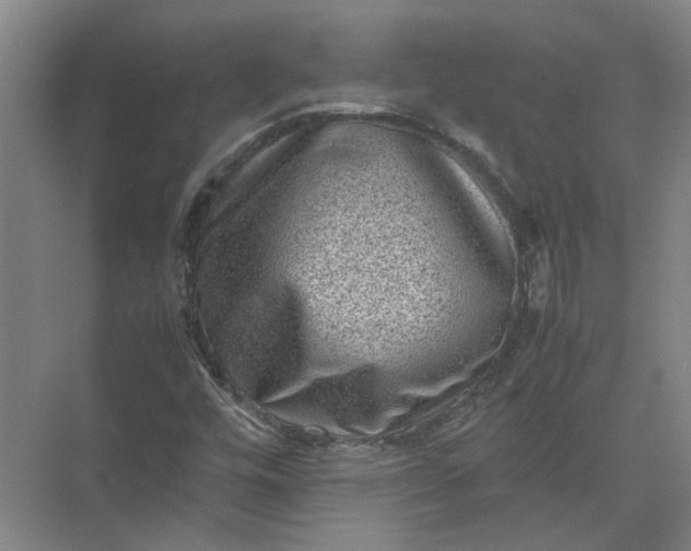 X0000071781448200607150042