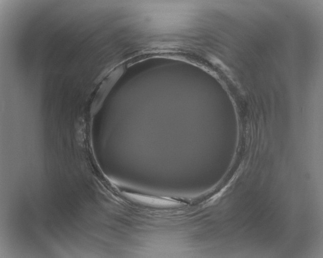 X0000071781449200607150042