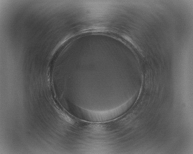 X0000071781450200607150042