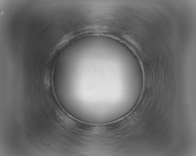 X0000071781451200607150042