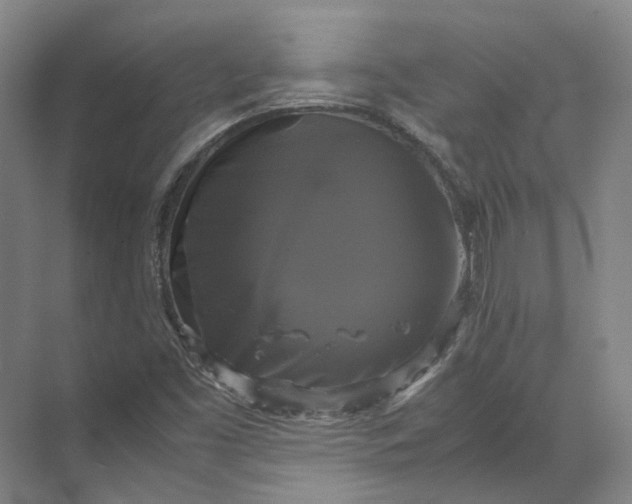 X0000071781453200607150042