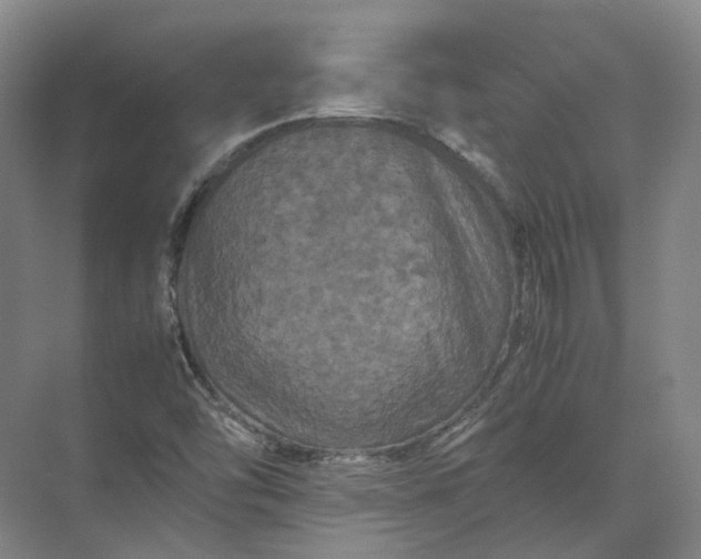 X0000071781454200607150042