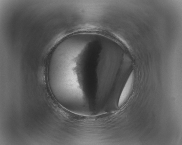 X0000071781455200607150042