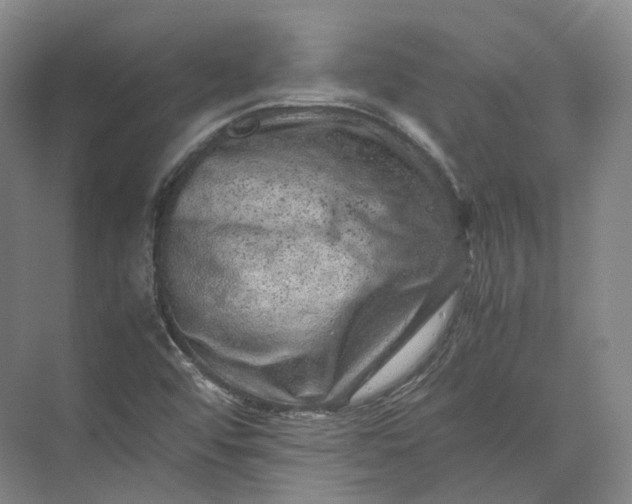 X0000071781456200607150042