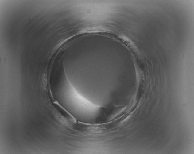 X0000071781457200607150042