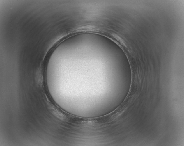 X0000071781458200607150042