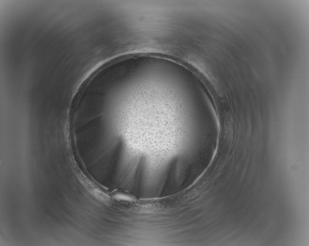 X0000071781460200607150042