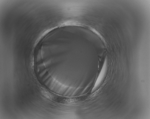 X0000071781461200607150042