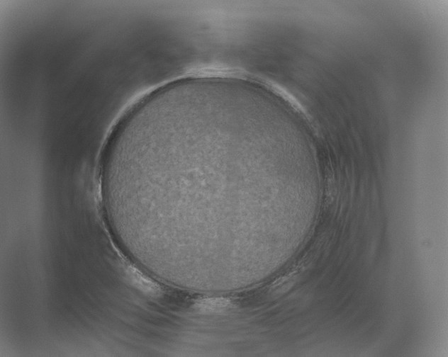 X0000071781462200607150042