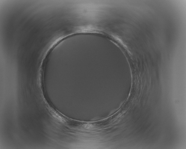 X0000071781463200607150042