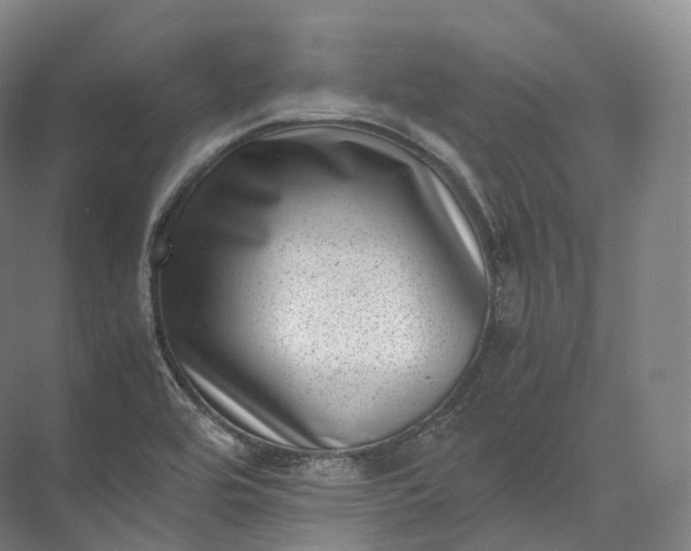 X0000071781464200607150042