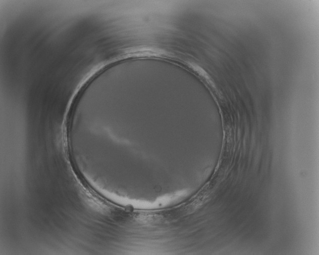 X0000071781466200607150042