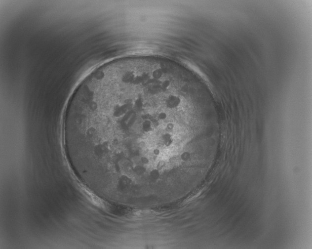 X0000071781467200607150042