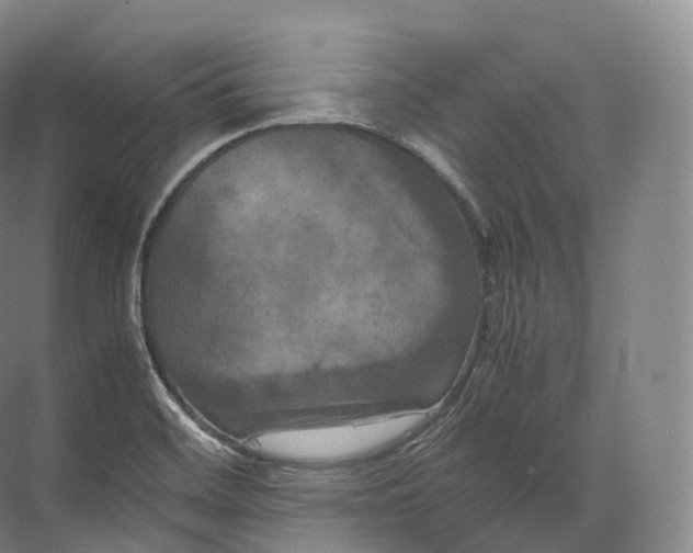 X0000071781468200607150042