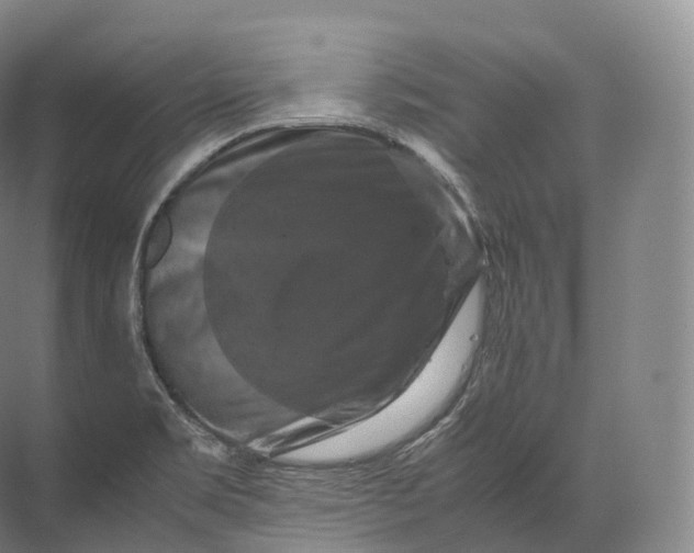 X0000071781469200607150042