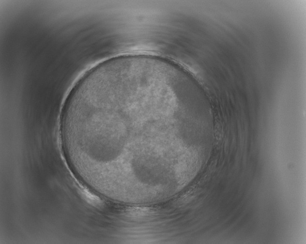 X0000071781470200607150042