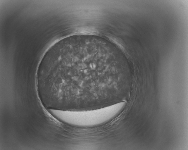 X0000071781471200607150042