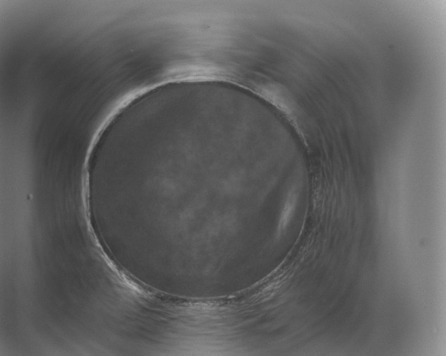 X0000071781472200607150042