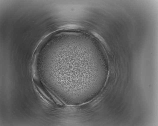 X0000071781473200607150042