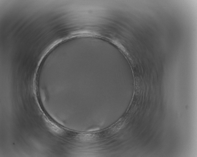 X0000071781474200607150042