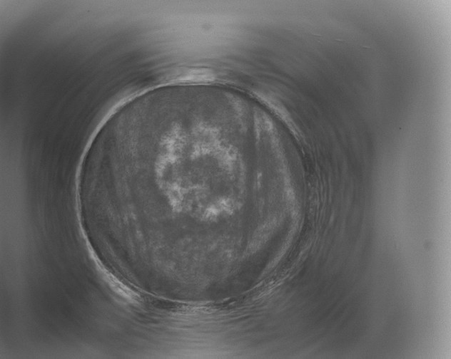 X0000071781475200607150042