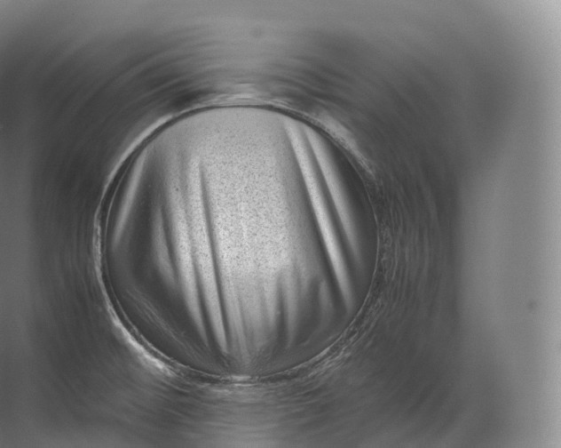 X0000071781476200607150042