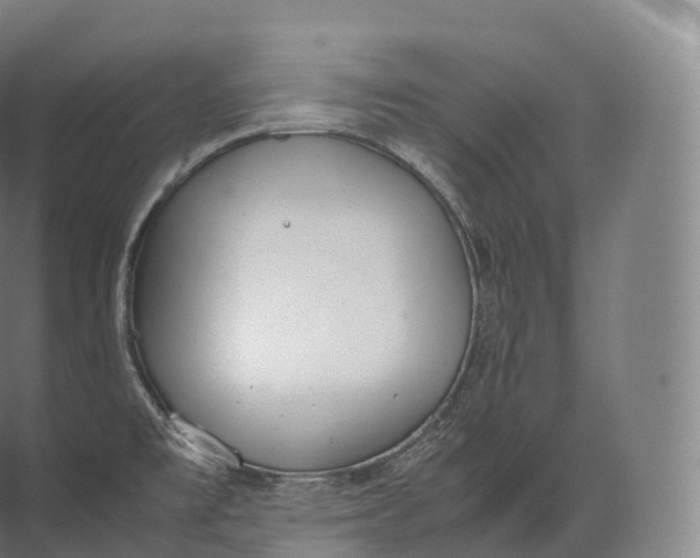 X0000071781477200607150042