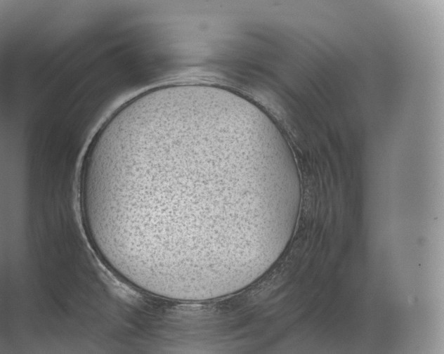 X0000071781478200607150042