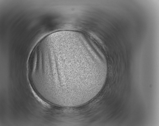 X0000071781479200607150042