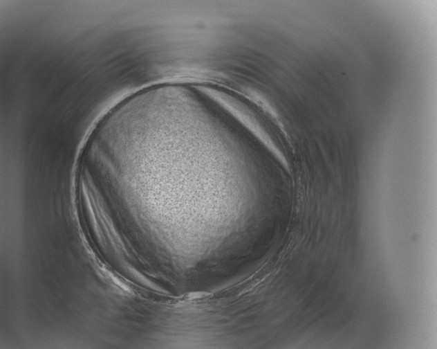 X0000071781480200607150042