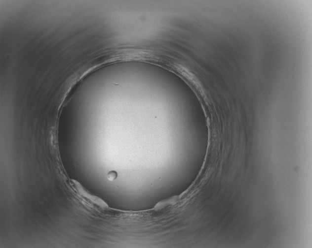 X0000071781481200607150042