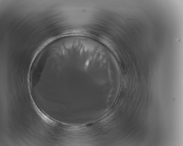 X0000071781482200607150042