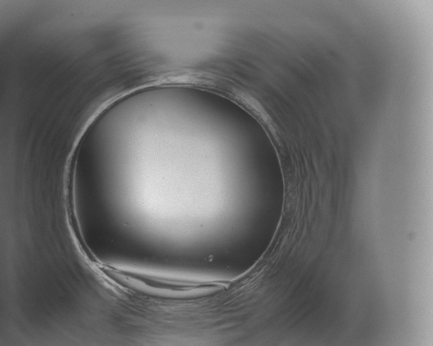 X0000071781483200607150042