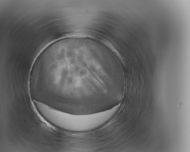 X0000071781484200607150042