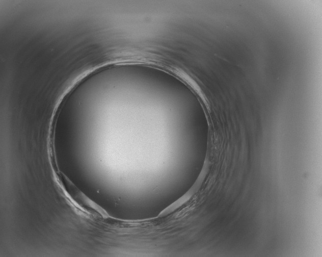 X0000071781485200607150042