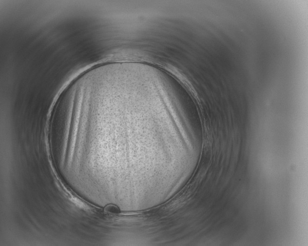 X0000071781486200607150042