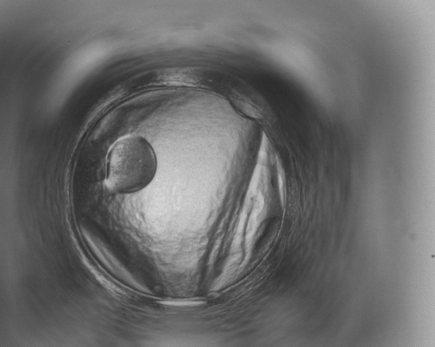 X0000071781487200607150042