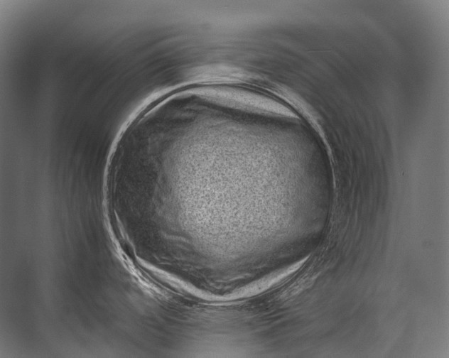 X0000071781488200607150042