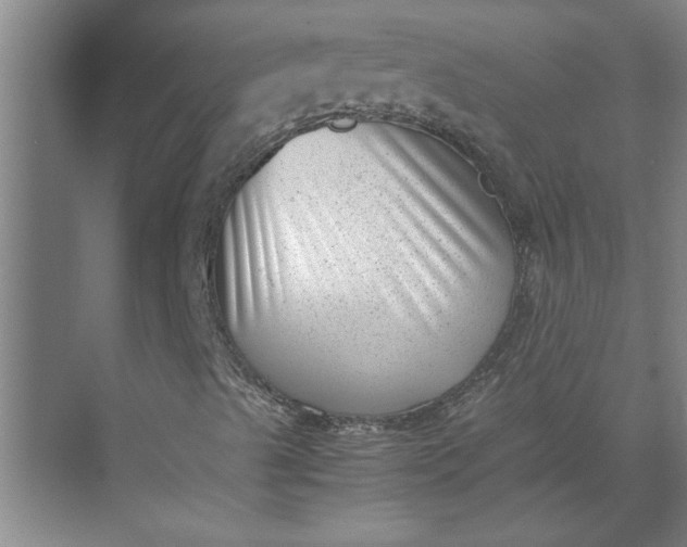 X0000071781489200607150041