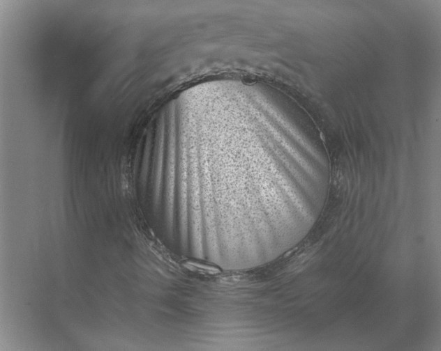 X0000071781490200607150041