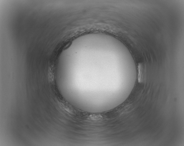 X0000071781491200607150041