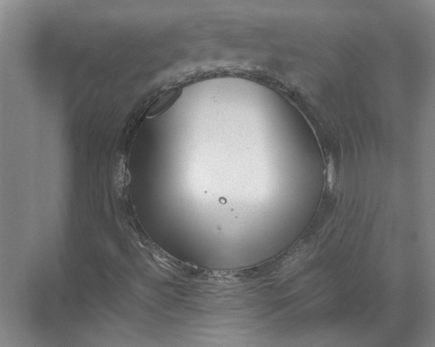 X0000071781492200607150041