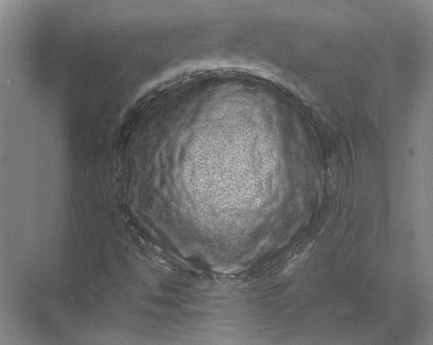 X0000071781494200607150041