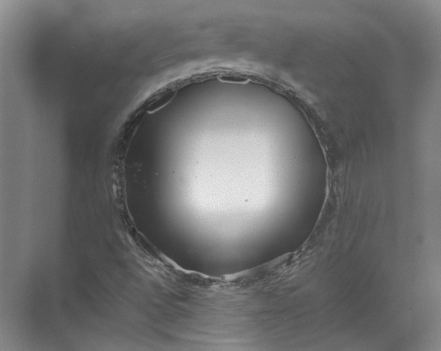 X0000071781496200607150041