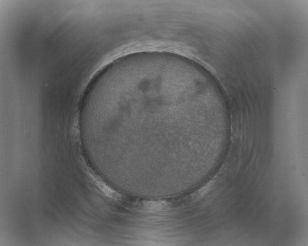 X0000071781498200607150041