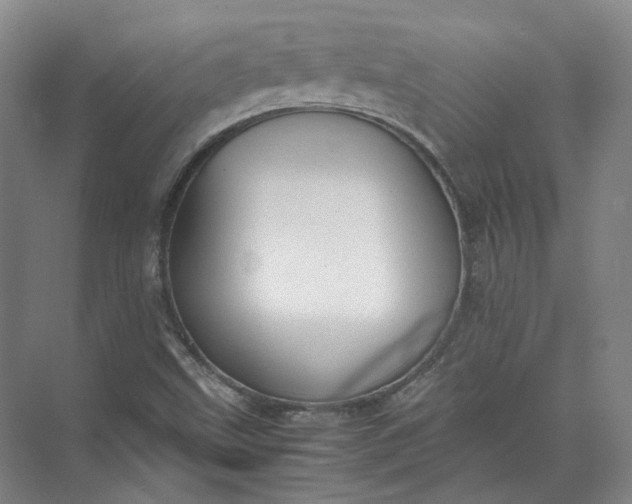 X0000071781499200607150041