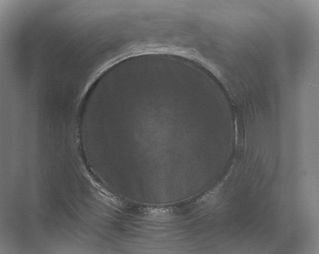 X0000071781501200607150041