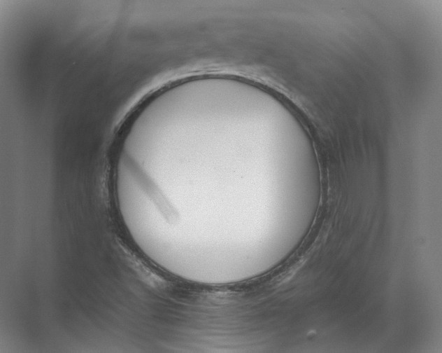 X0000071781502200607150041